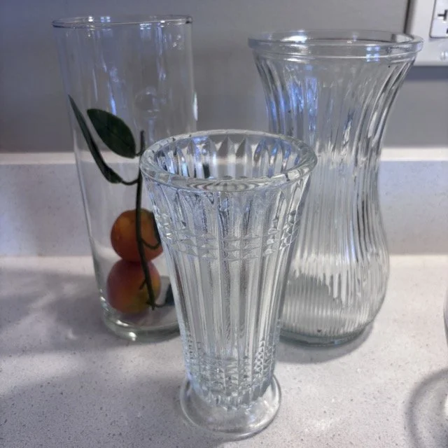 IMG_217 Medium.jpeg