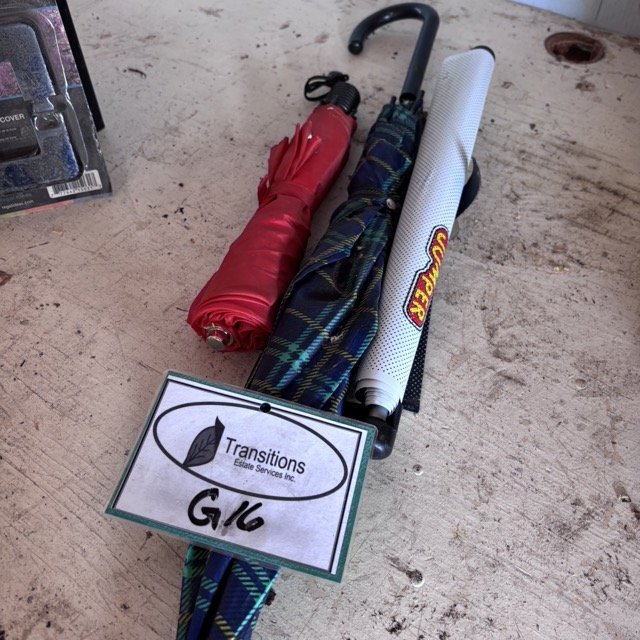 IMG_8688 Medium.jpeg