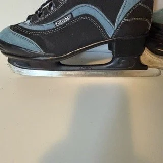 IMG_1662 Medium.jpeg