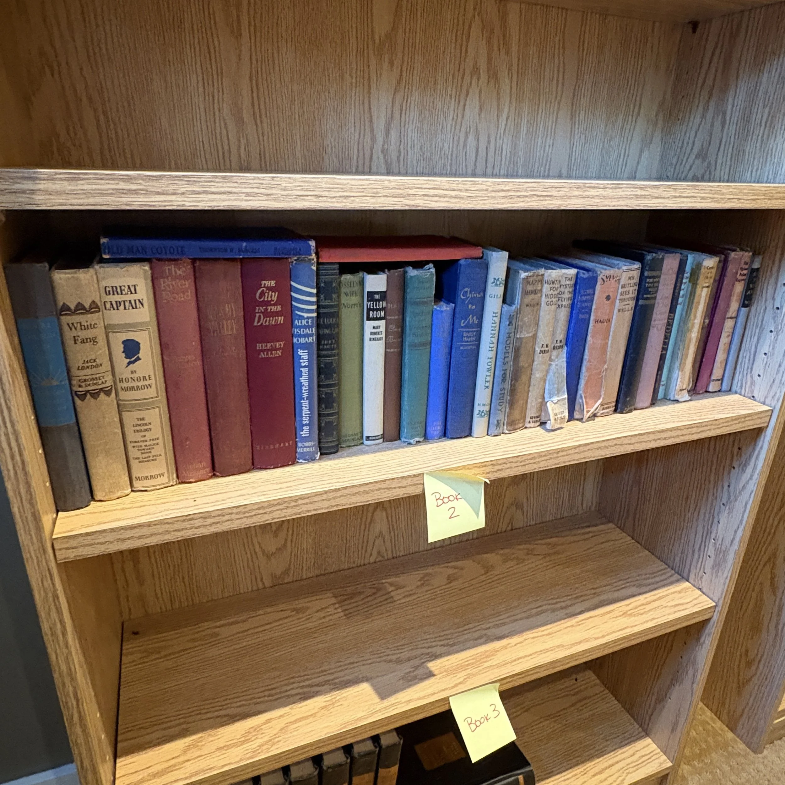 Assorted Vintage Novels