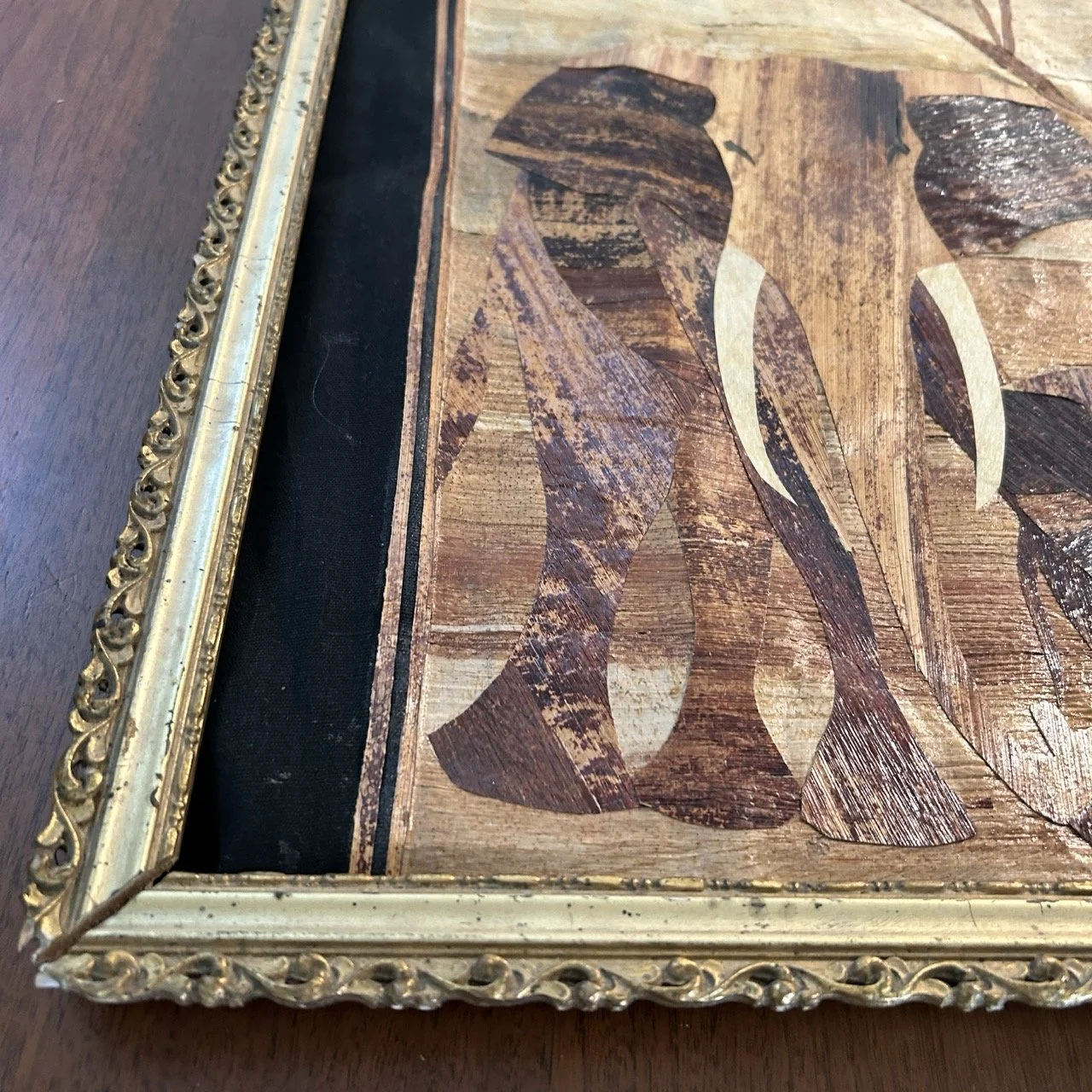 IMG_6215 Large.jpeg