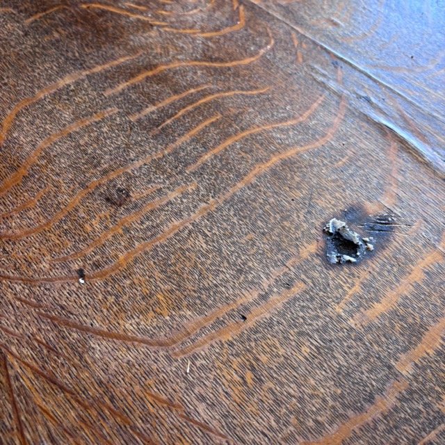 IMG_8409 Medium.jpeg