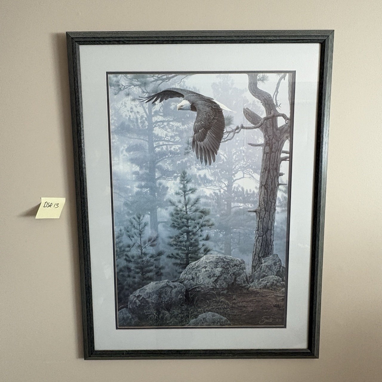 Large Eagle Picture
