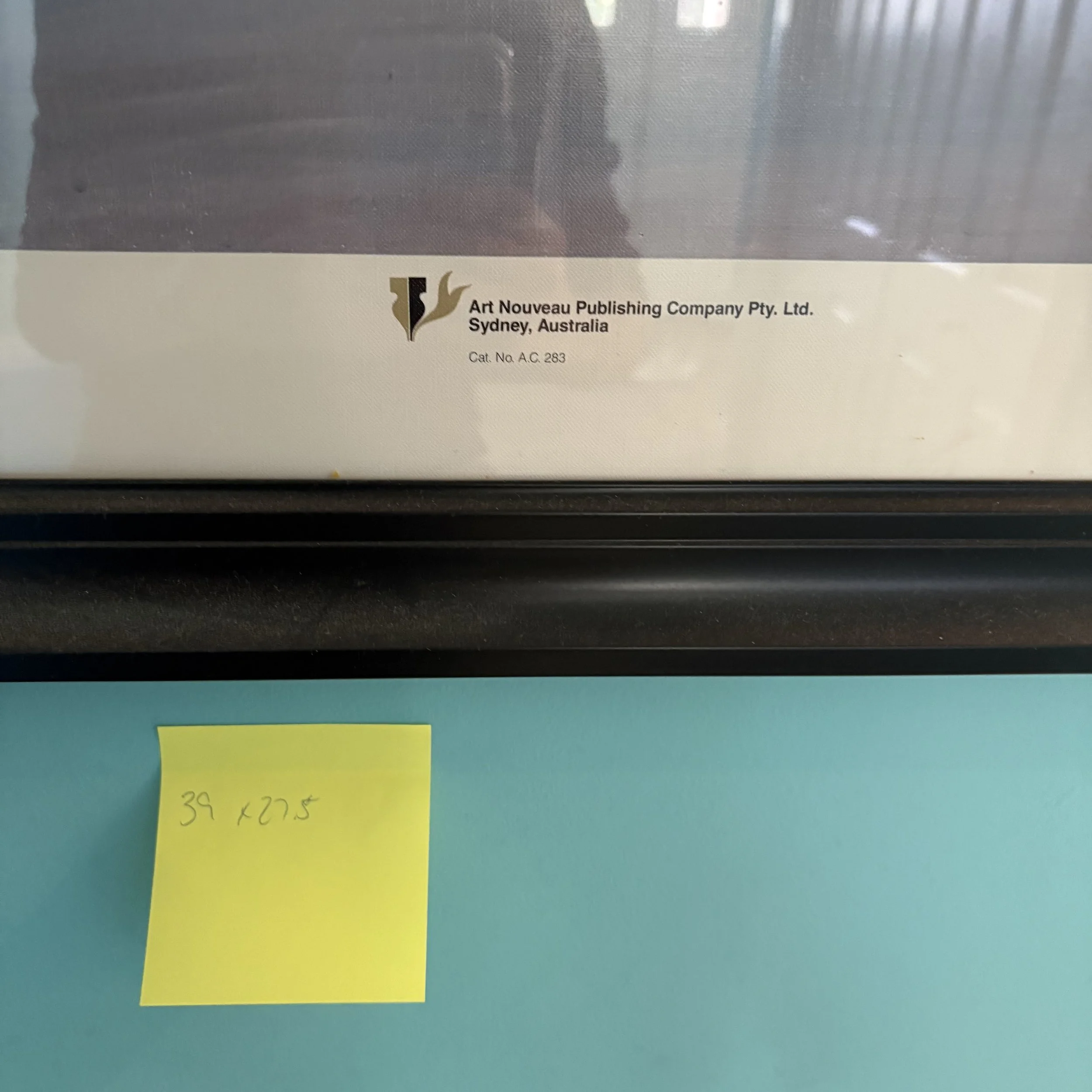 IMG_1526.jpeg