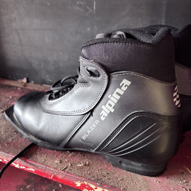 IMG_8641 Medium.jpeg