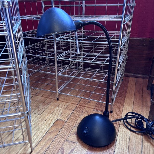 IMG_8419 Medium.jpeg