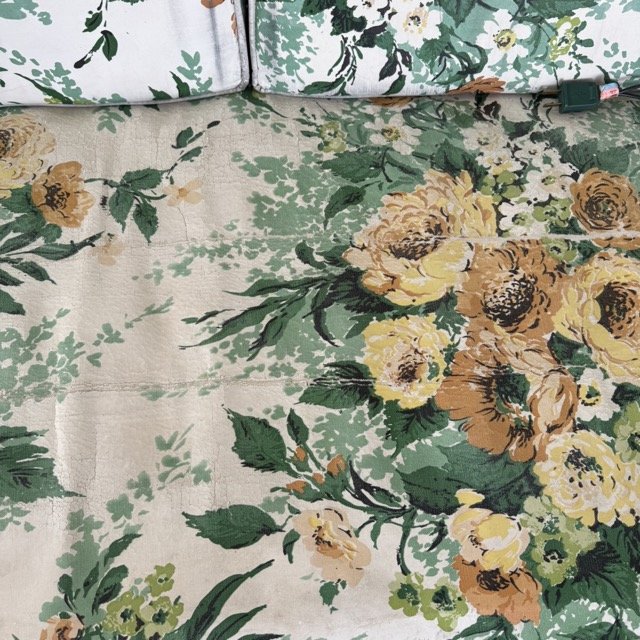 IMG_3114 Medium.jpeg