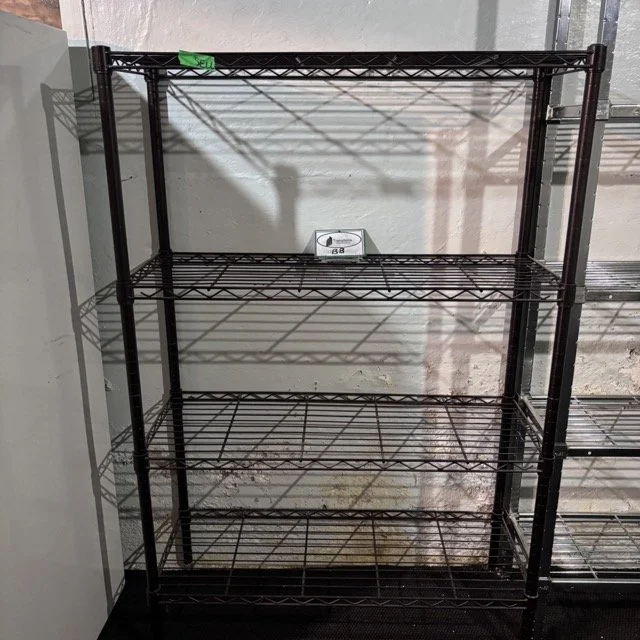 IMG_8608 Medium.jpeg