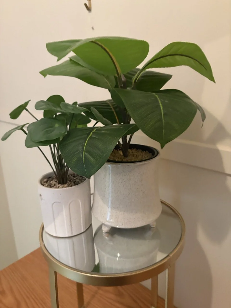 Fake Plants w/ Stand!