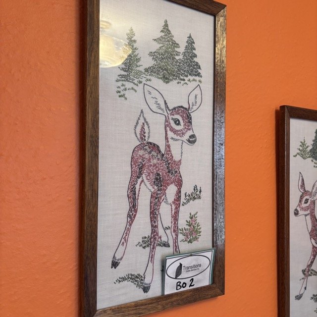 IMG_8557 Medium.jpeg