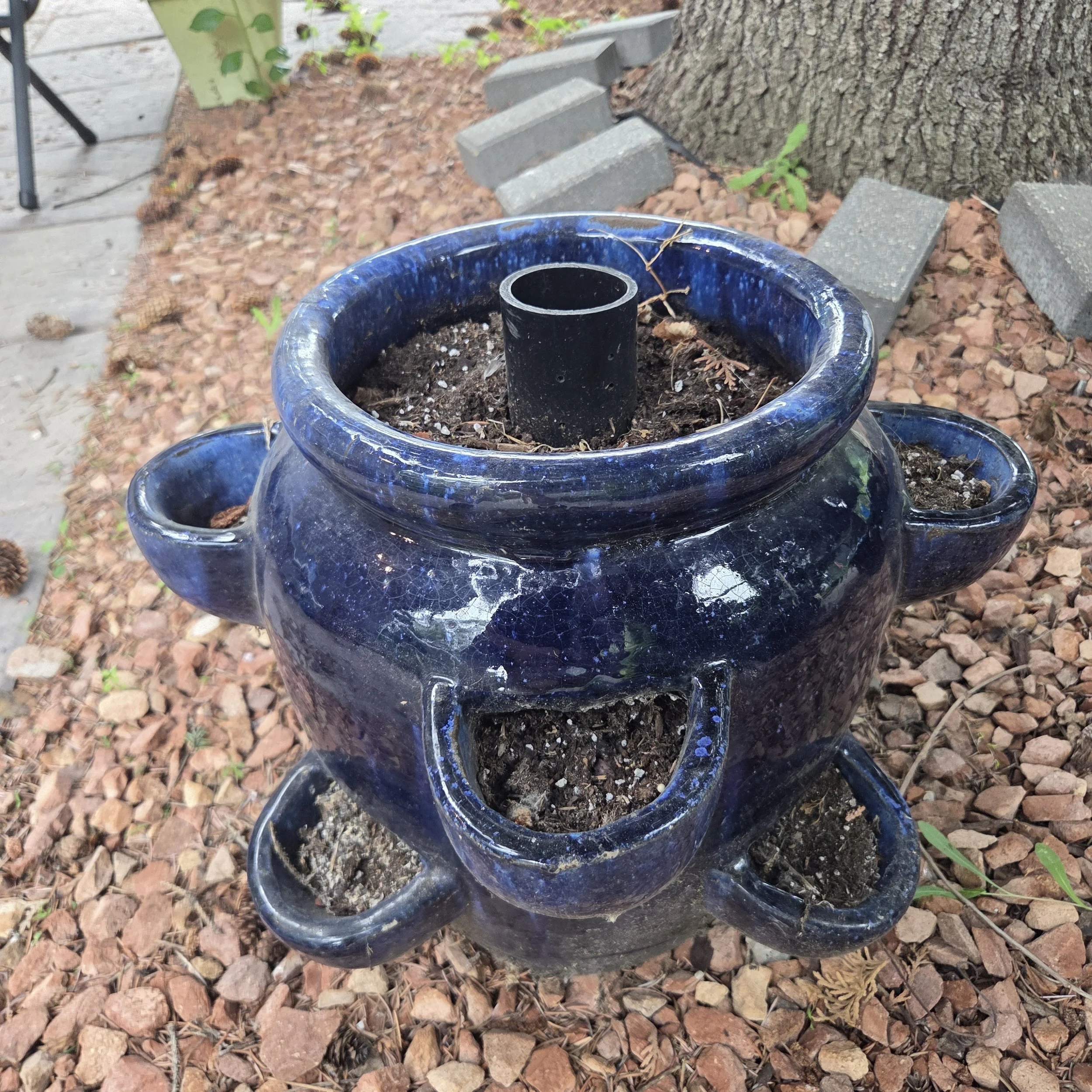 Strawberry Pot