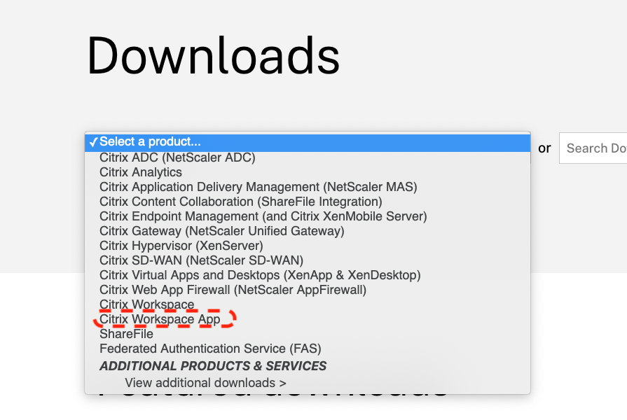 Citrix Citrix