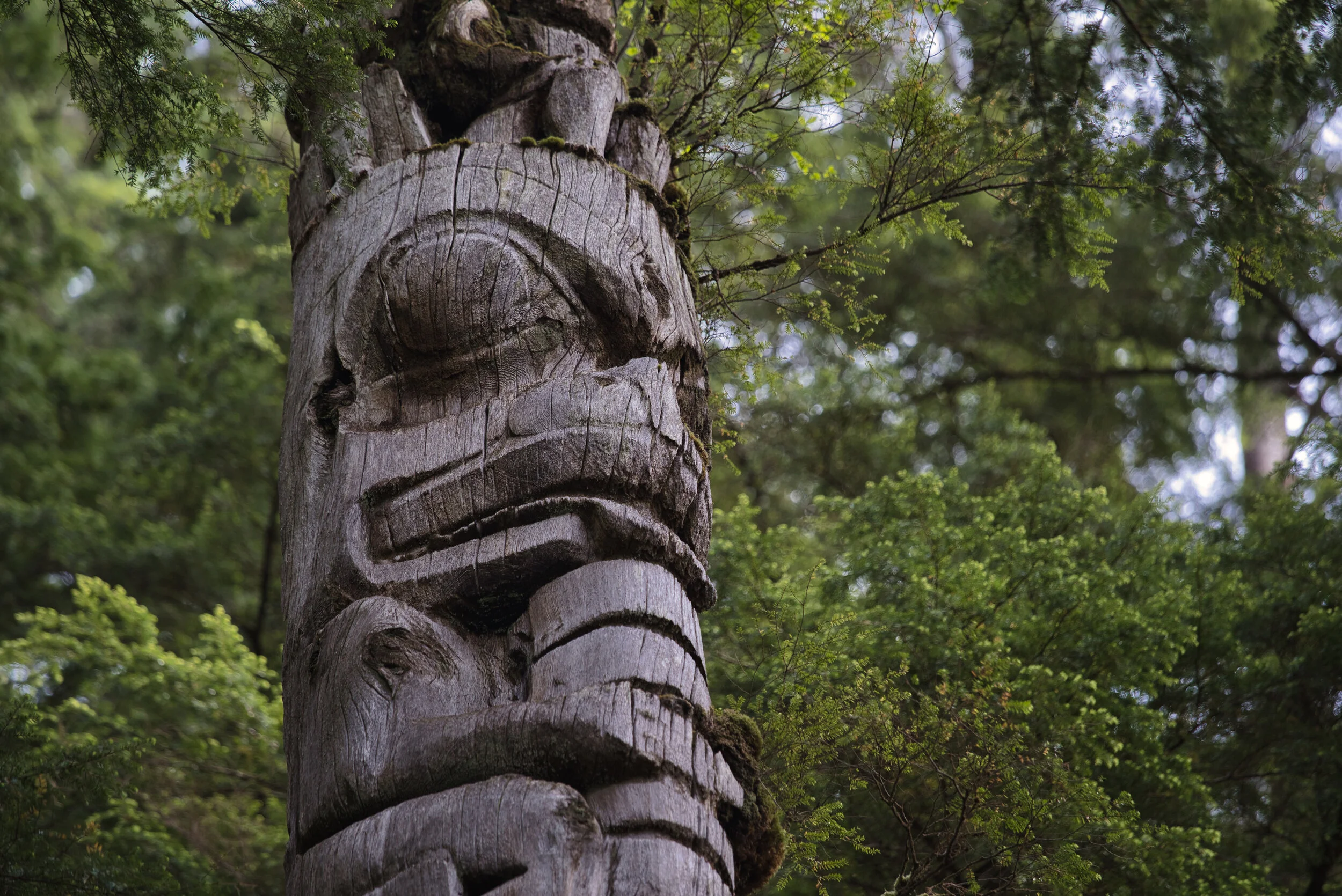 Haida House At Tllaal British Columbia Canada Haida Tourism