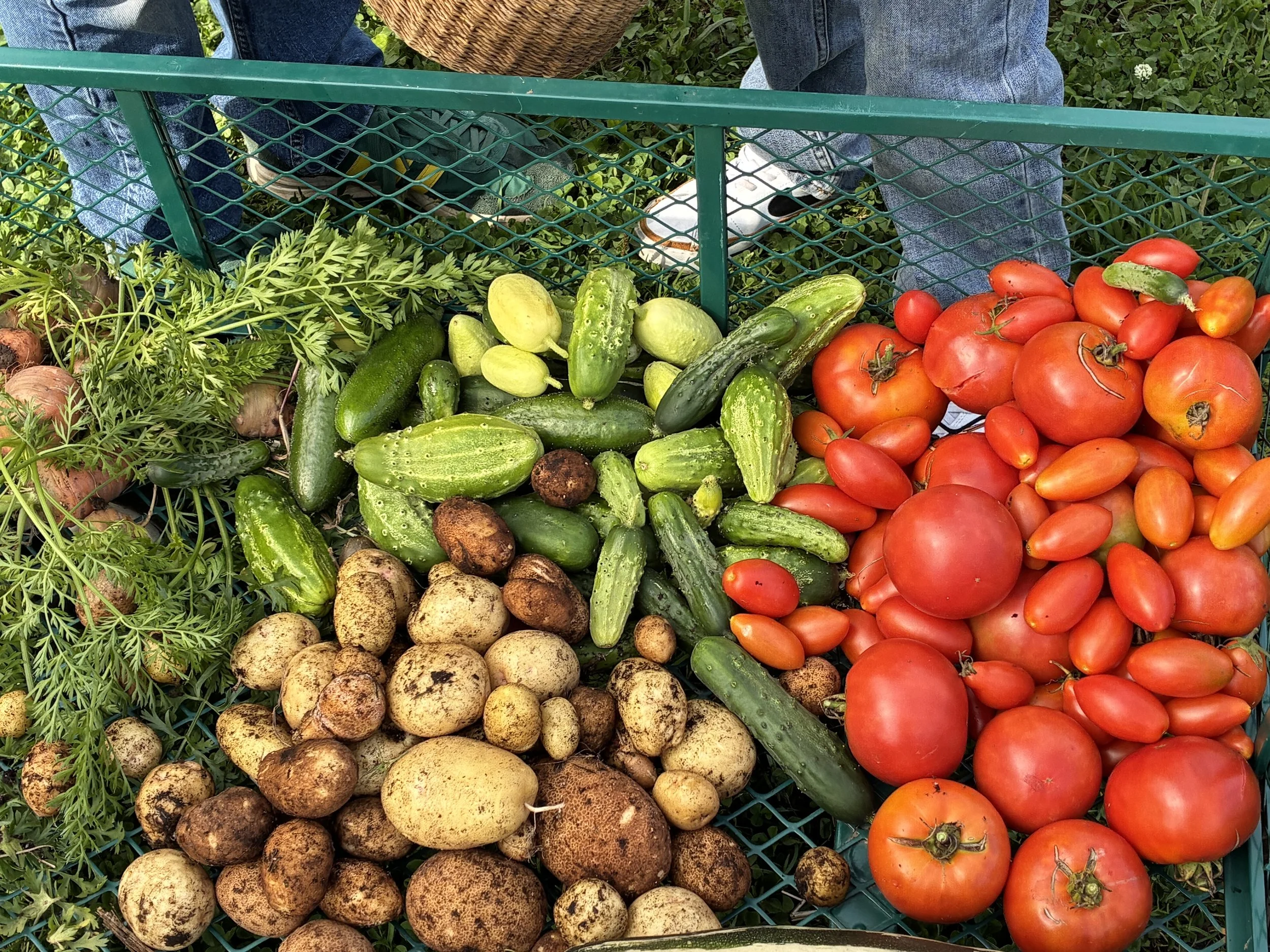 2025 Annual Meeting Report(s)