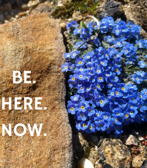 2026 S.I.T. (Six Week Introductory) Mindfulness Classes