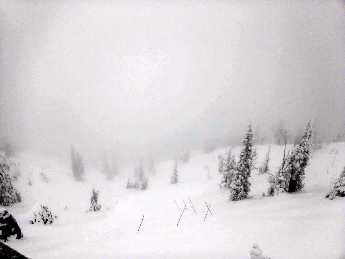 Warning: All Conditions Exist