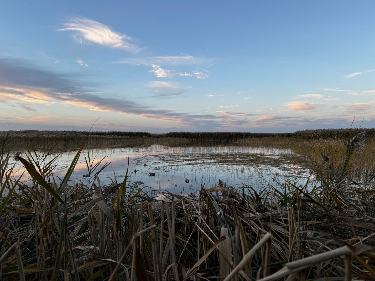 Lake St. Claire_10.jpg