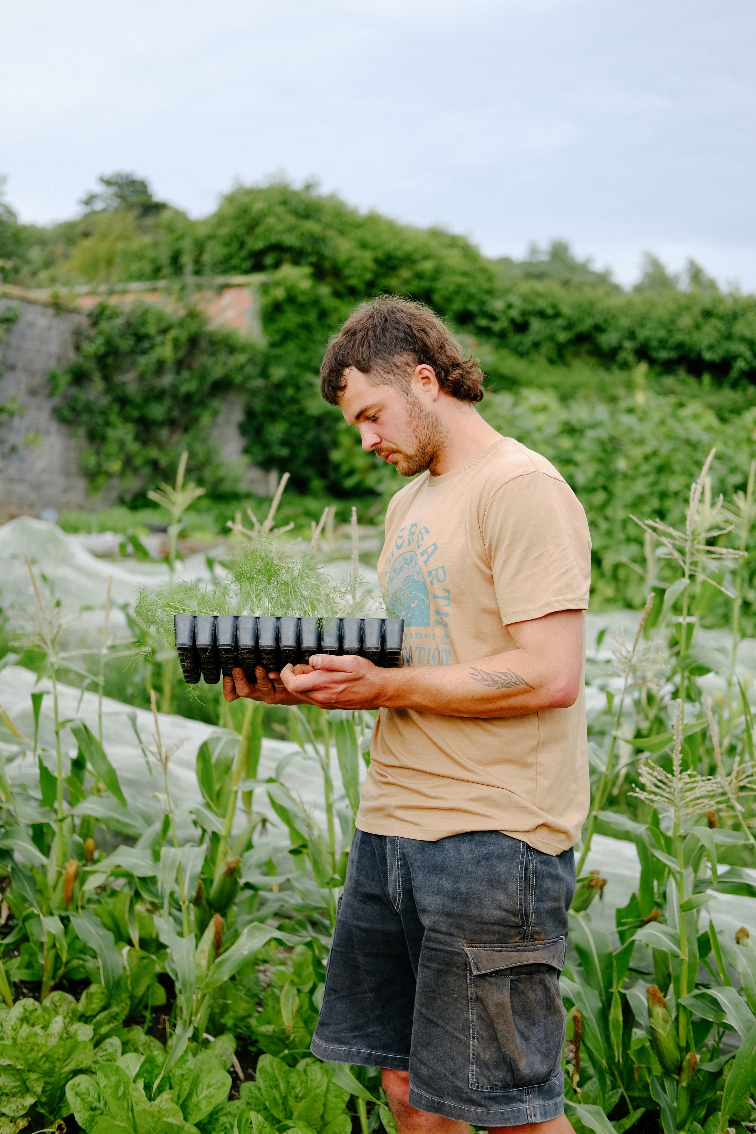 Alex, for the Soil Association