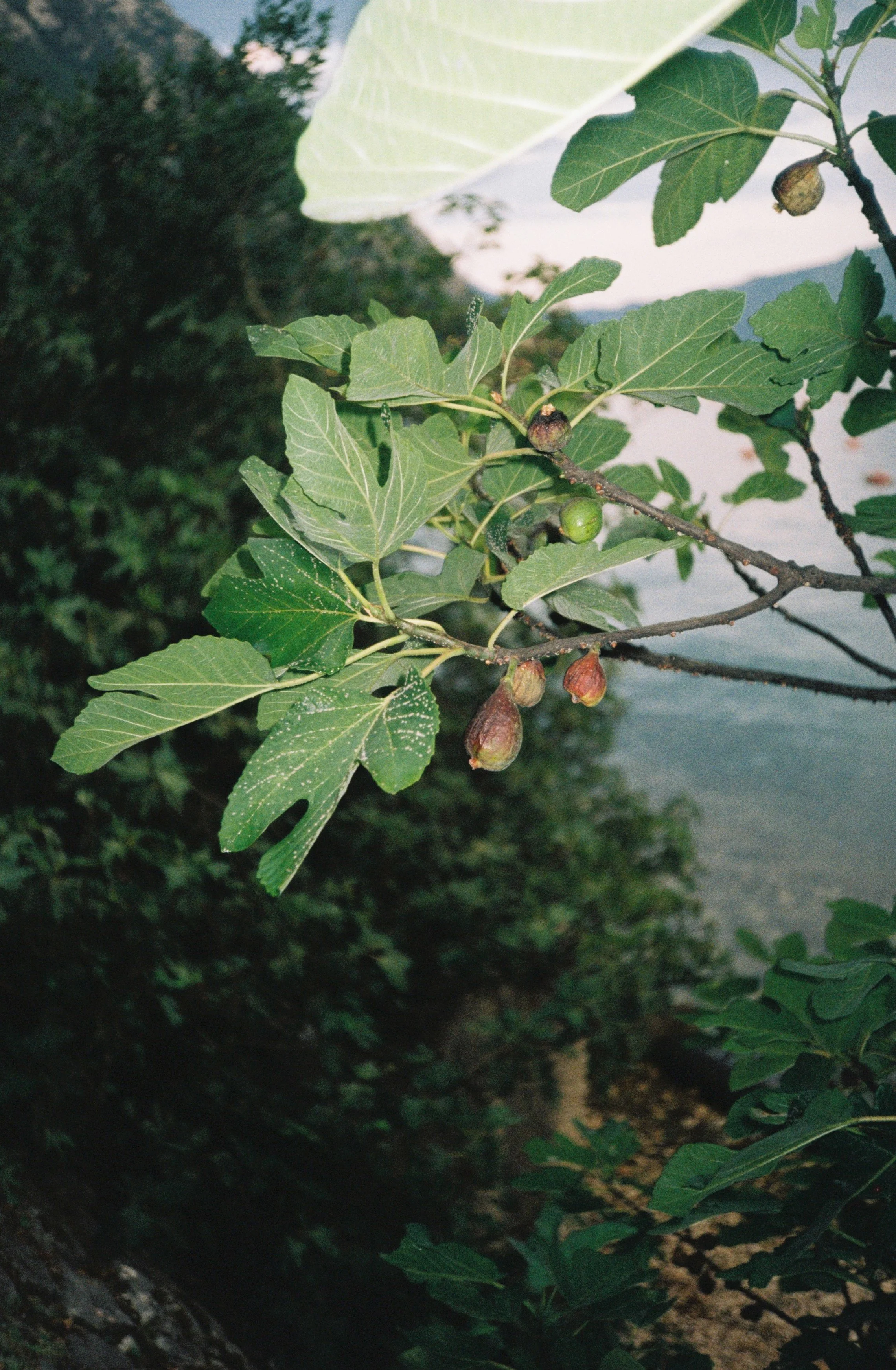 000023.JPG