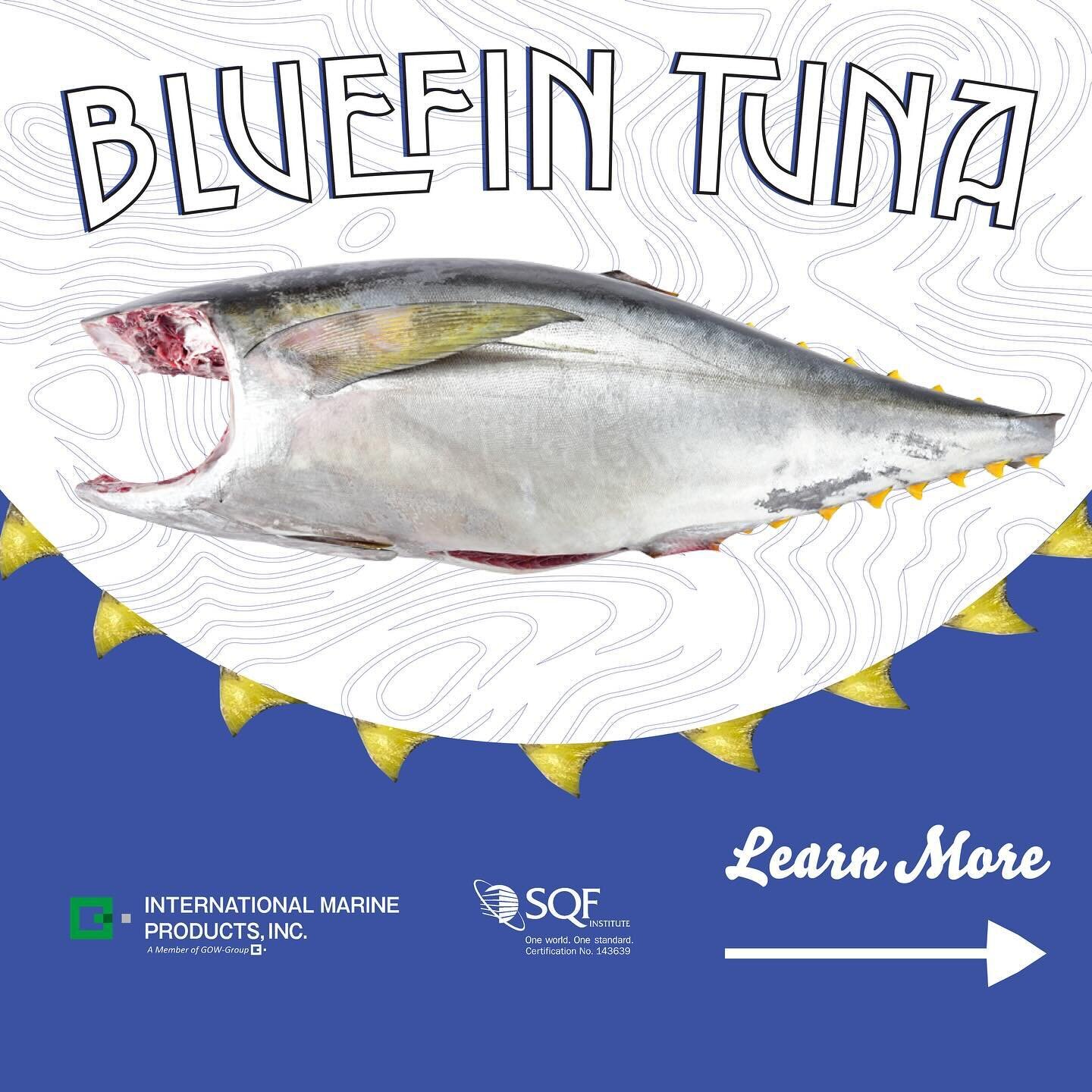 Journey into the world of Bluefin Tuna. 🐟
Swipe to discover the skilled hands and meticulous steps behind preparing this prized delicacy. 
.
.
.
#SQF #sqfcertified #sushi #sashimicuts #sashimi #salmon #oraking #fresh #bluefintunafishing #fishingphot