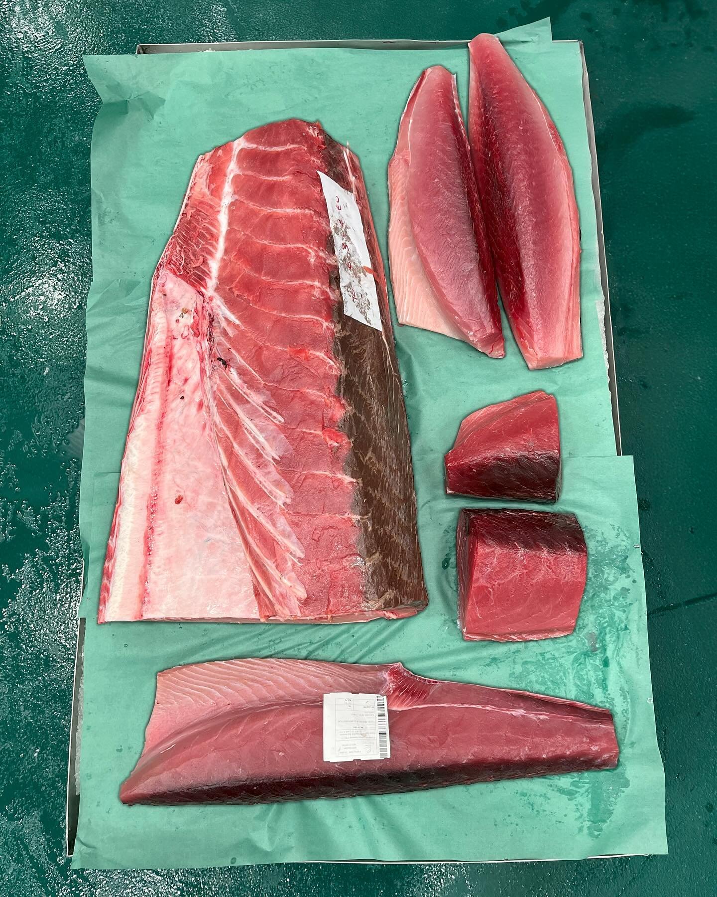 Our tuna comes in all shapes and sizes. But QUALITY always comes first! 🐟✅
.
.
.
#sushi #sashimicuts #sashimi #bluefintunafishing #fishingphotodaily #saltwater #fishingpic #fishingtime #socalfishing #fishingdaily #fishingaddict #fishing #fishingpico