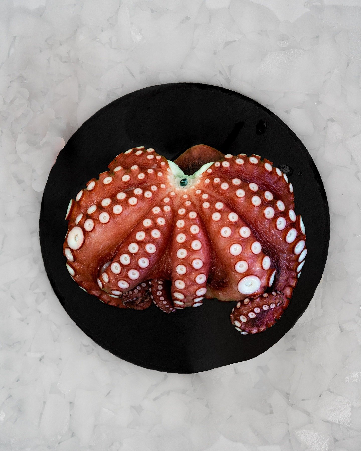 Tako 'bout convenience! 🐙✨ This boiled octopus (ゆでだこ) is already cooked and ready to enjoy—just slice and serve! Perfect for sushi night, salads, or snacking straight up. 🍣🔥
Find out more today @intmarine.com
.
.
.
#ReadyToEat #TakoTime #B