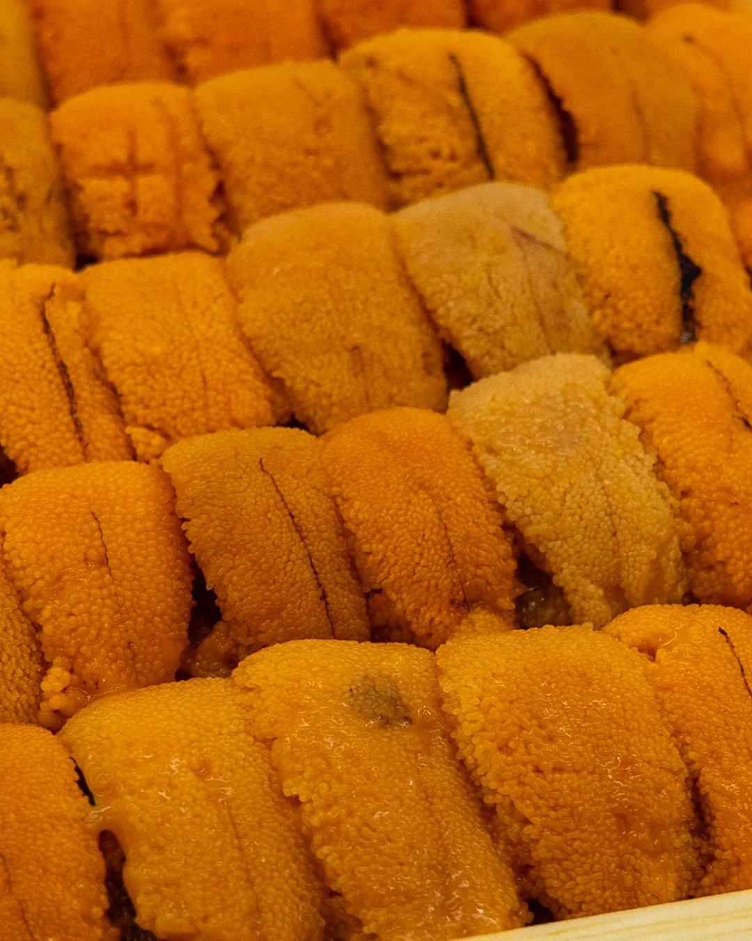 Japanese Uni selected for quality and consistency. A reliable option for chefs and seafood buyers who demand premium product. Inquire for current availability.