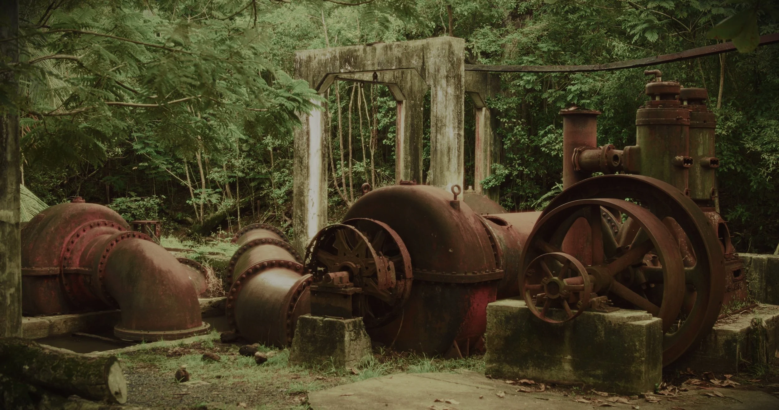 Still 2025-01-27 130633_1.11.1.jpg