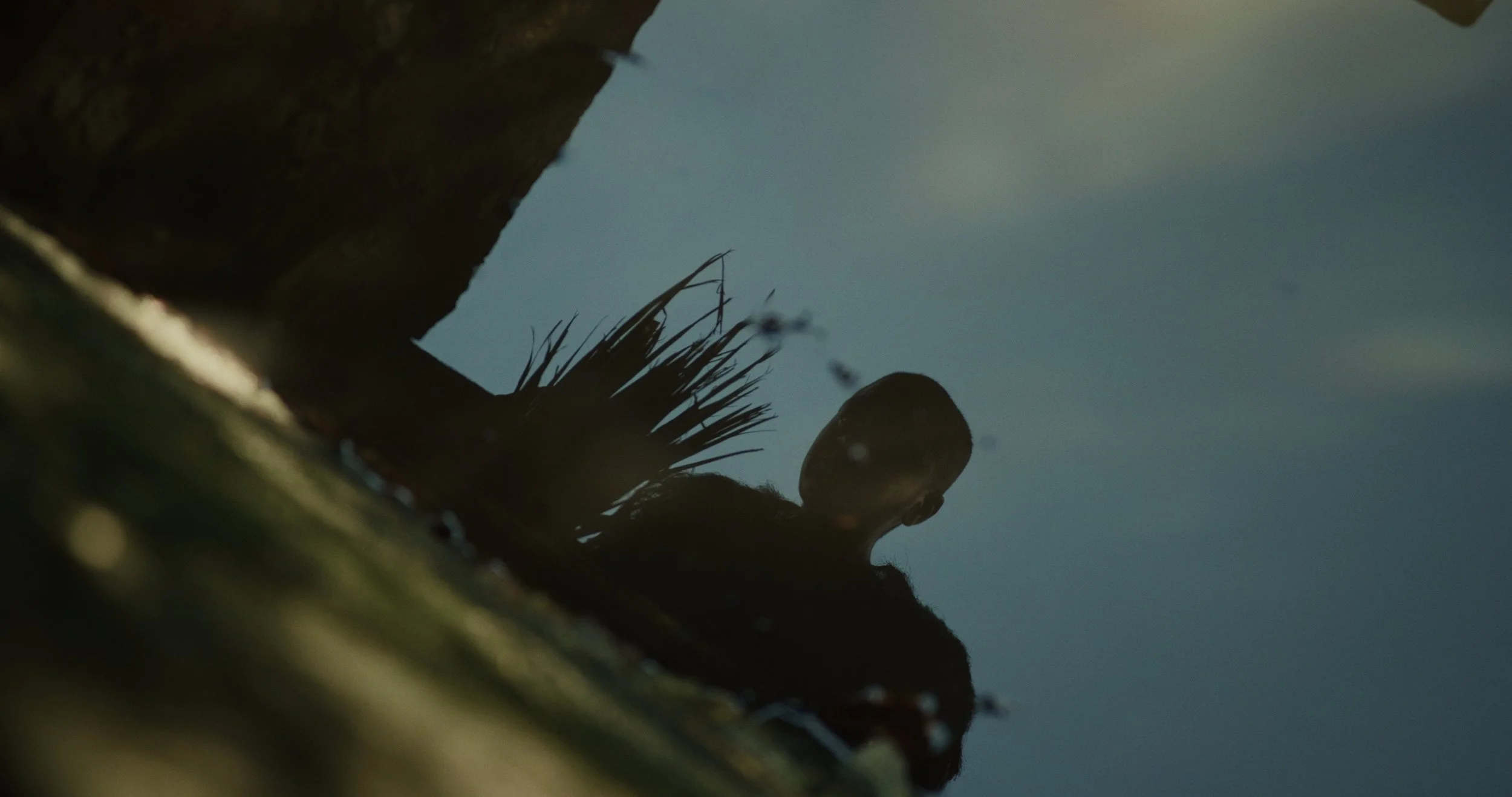 Still 2025-01-27 130633_1.68.1.jpg