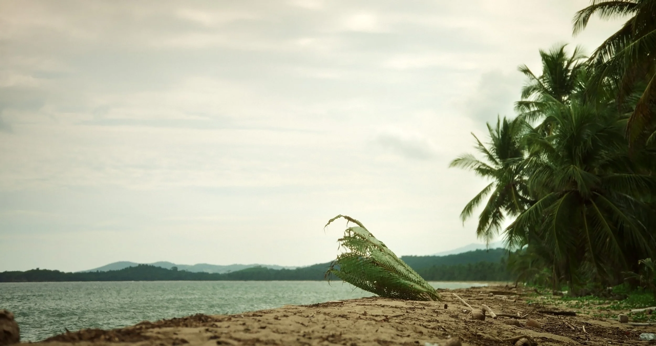 01 barullo a la orilla LNN.JPG