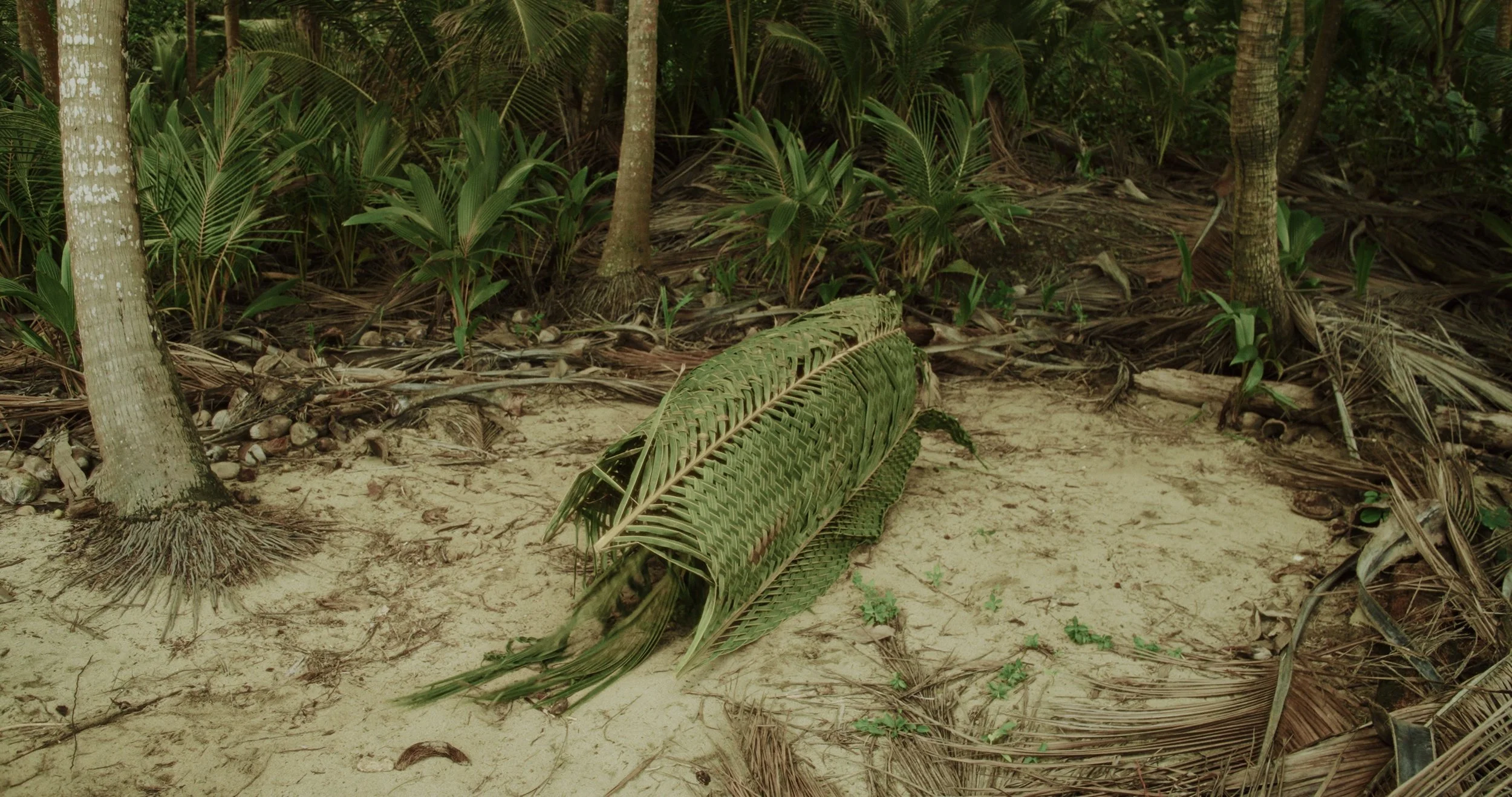 Still 2025-01-27 132317_1.49.1.jpg