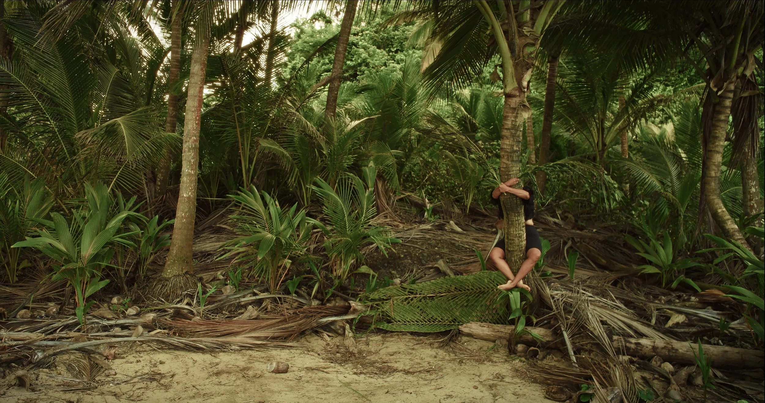 03 barullo a la orilla LNN .JPG