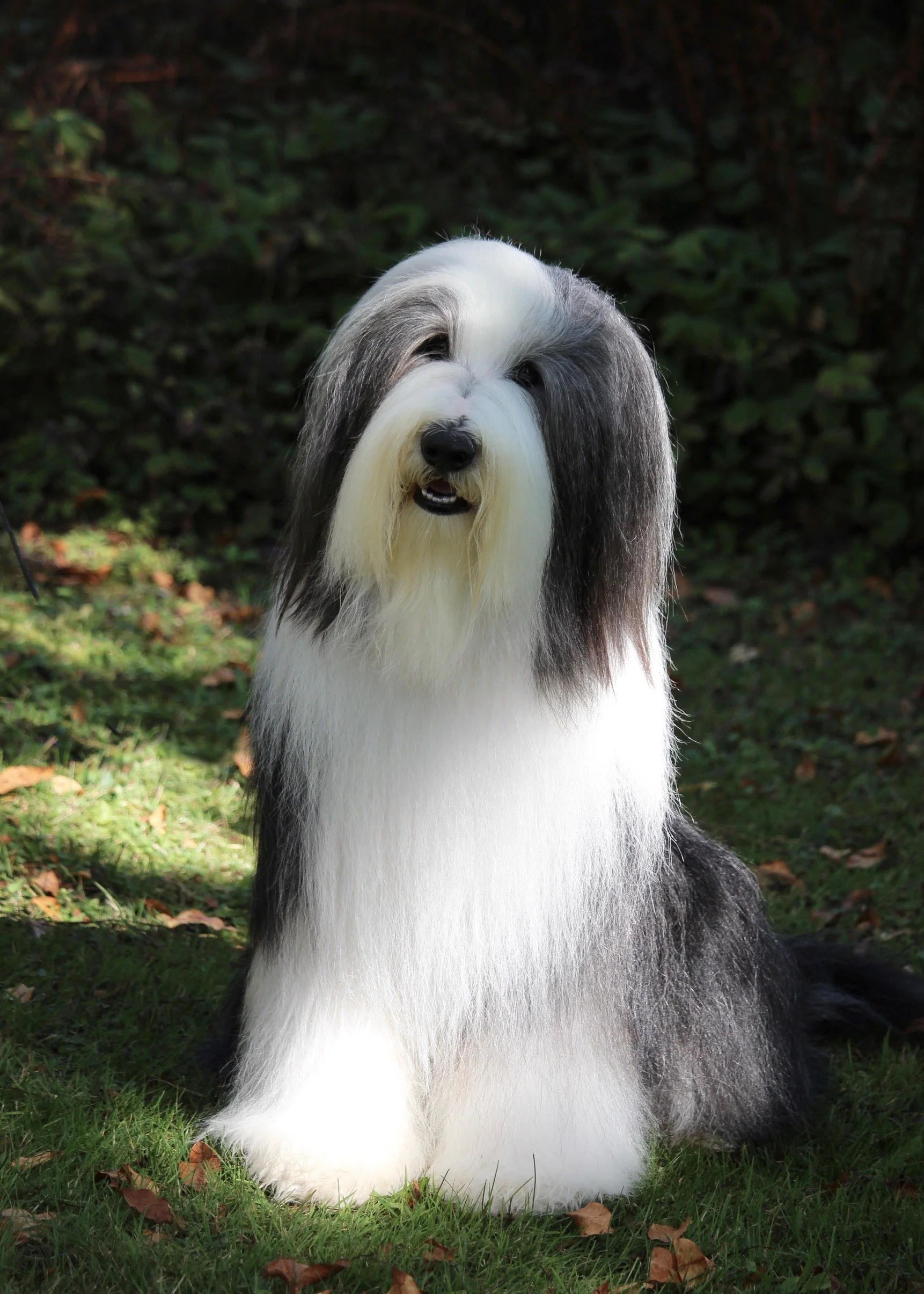 Magnus2yrs1.JPEG
