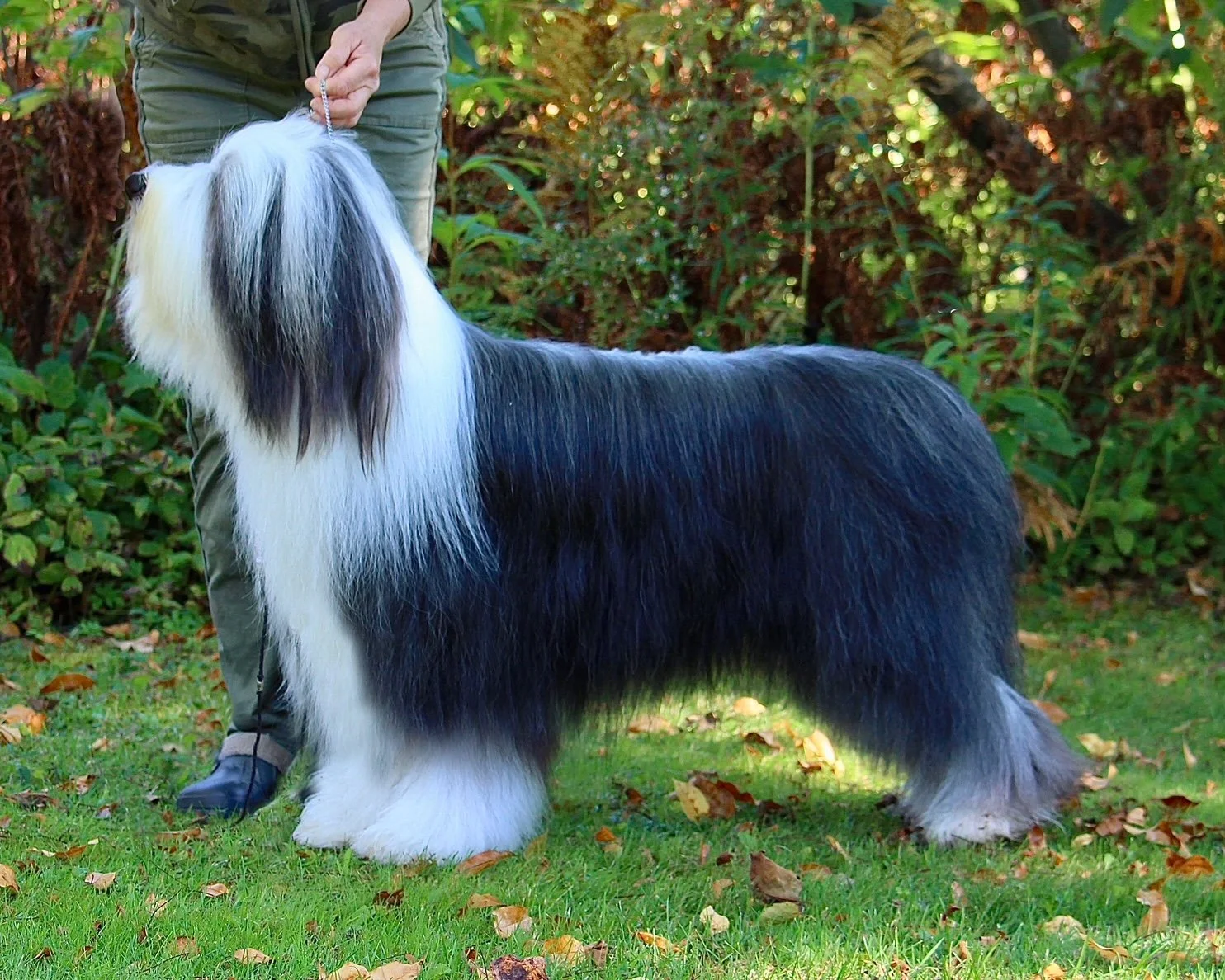 Magnus2yrs2.JPEG