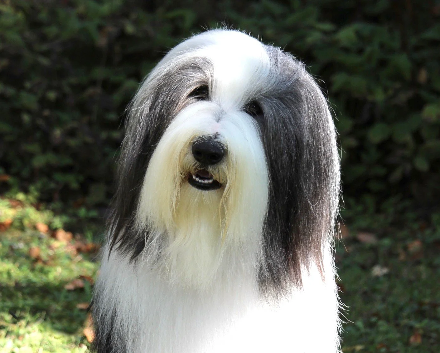 Magnus2yrs3.JPEG