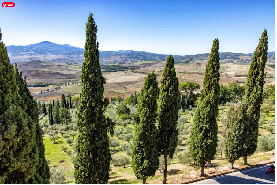 pienza 8.png