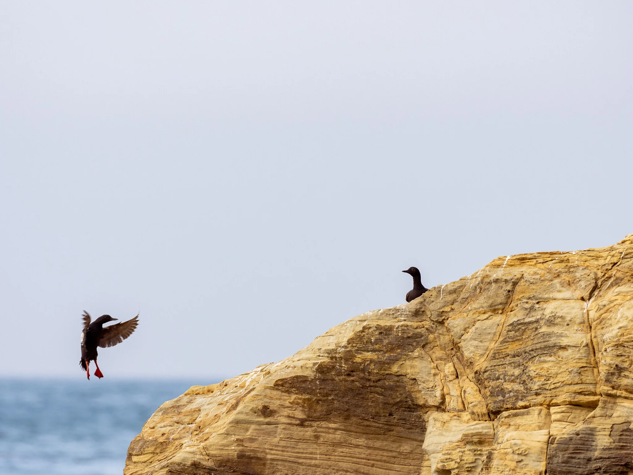 P8033563.jpg