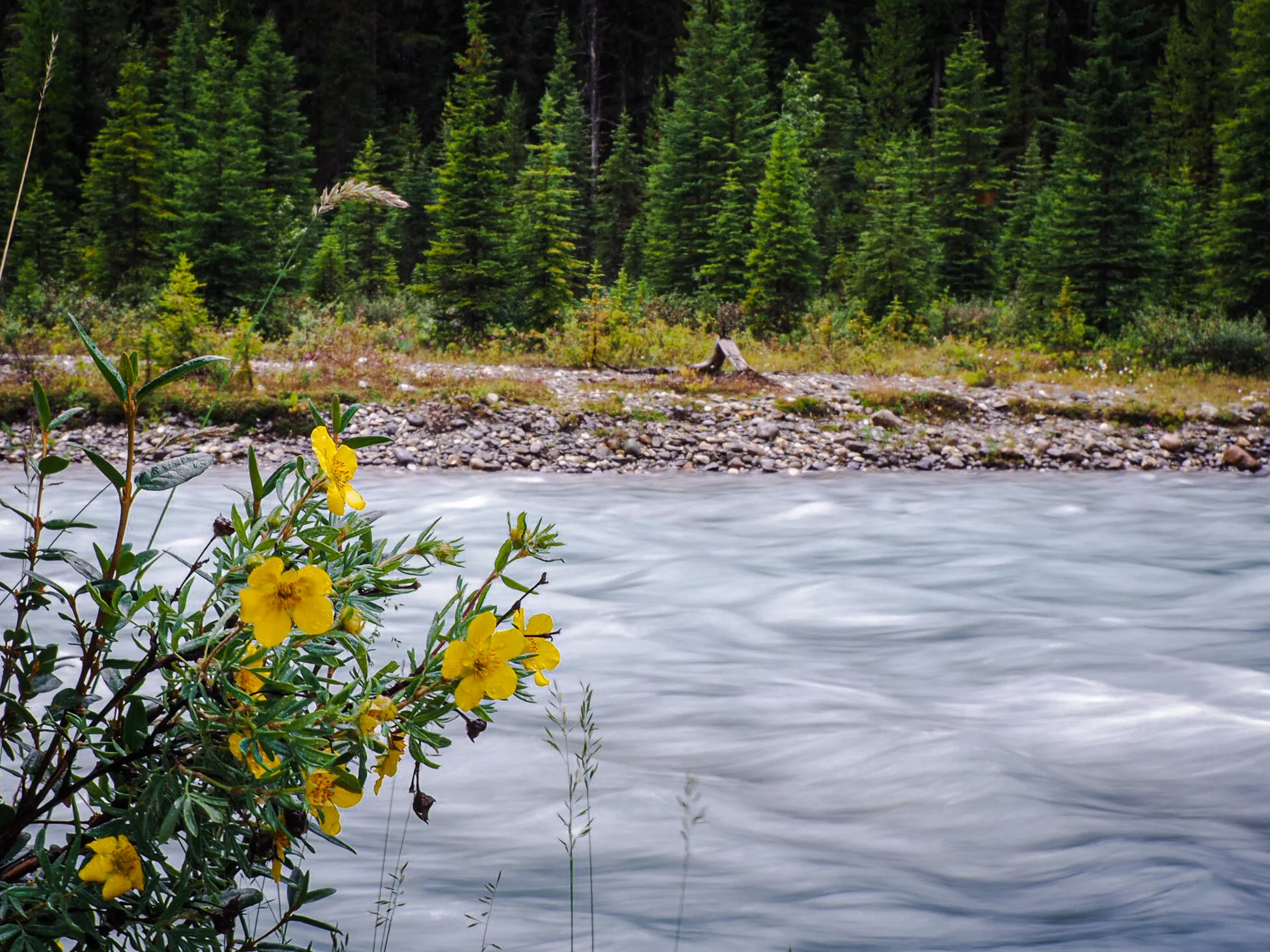 The Water's Always Changing