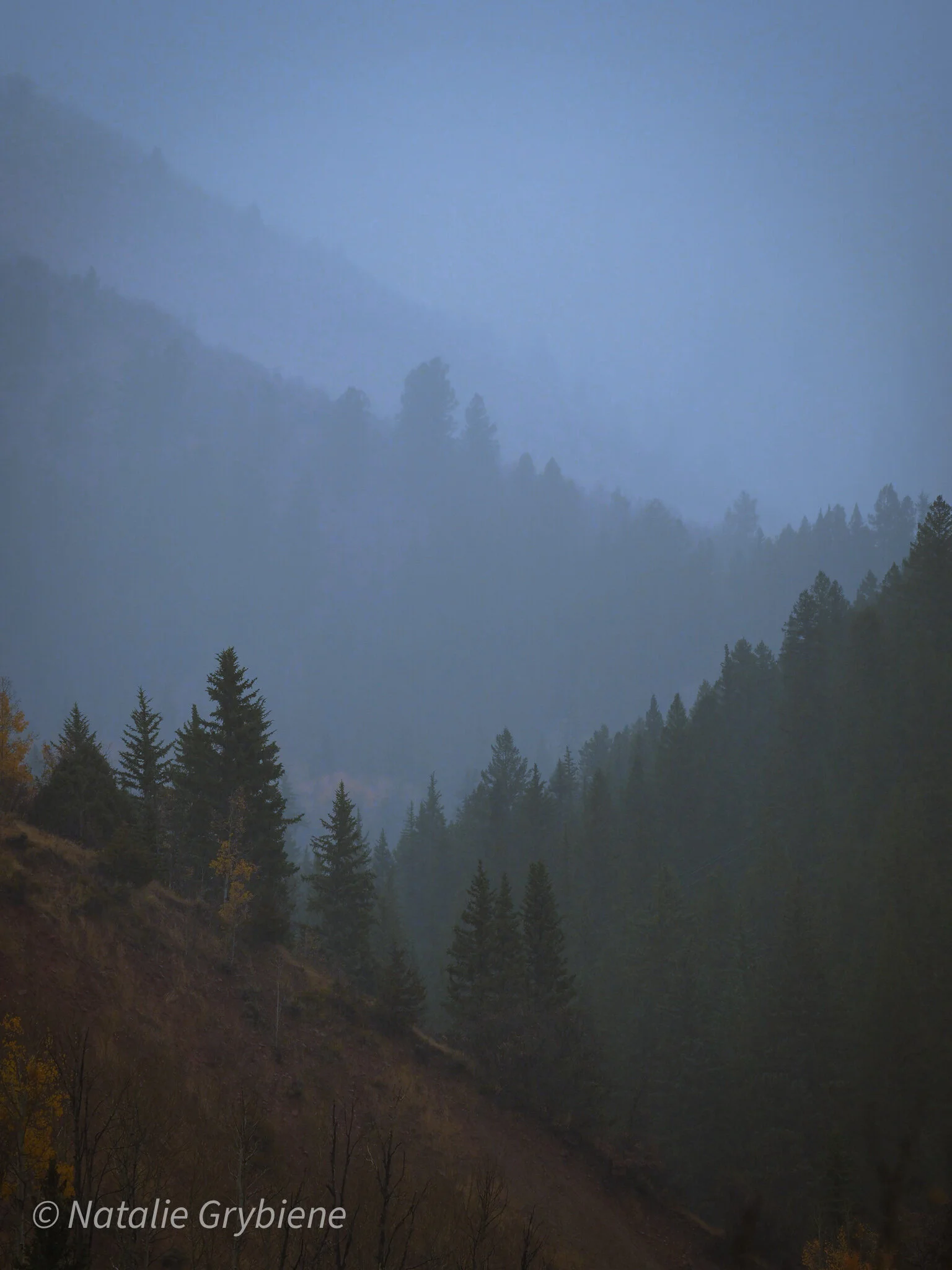 A99A52E5-9687-4A98-AA2A-5E7C226D2A0C.jpeg