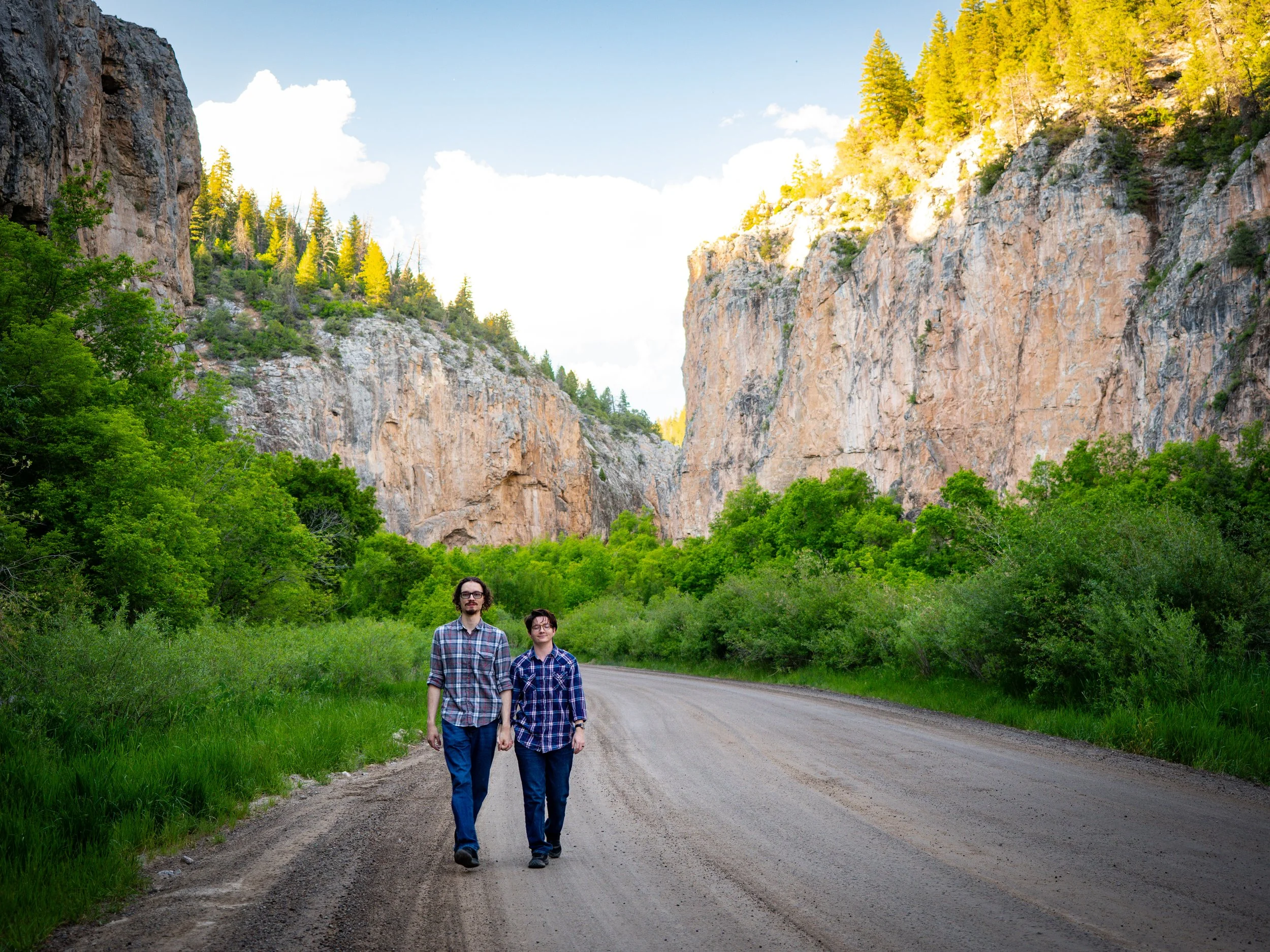 Engagement Sessions