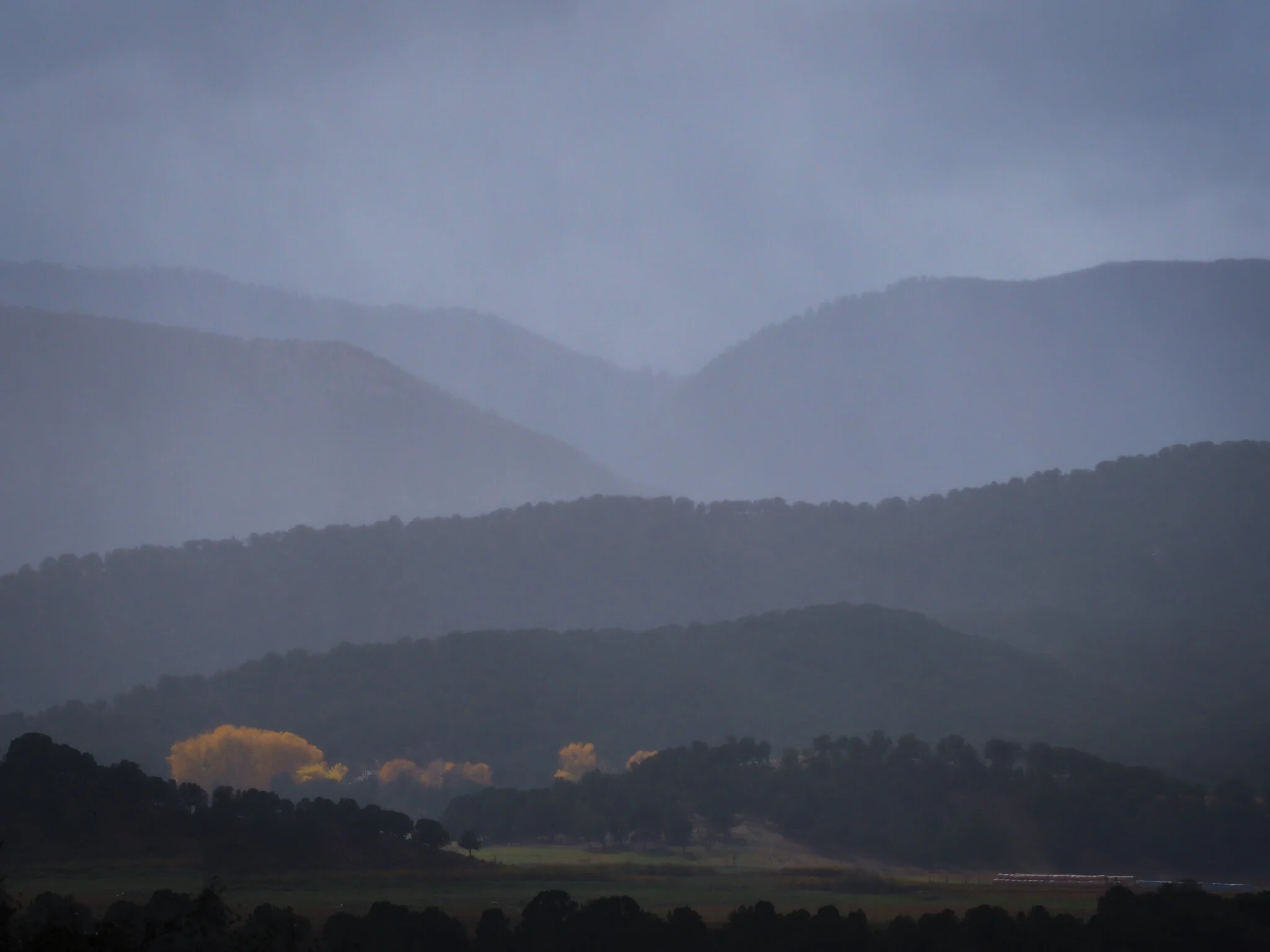 PA110210-2.jpg