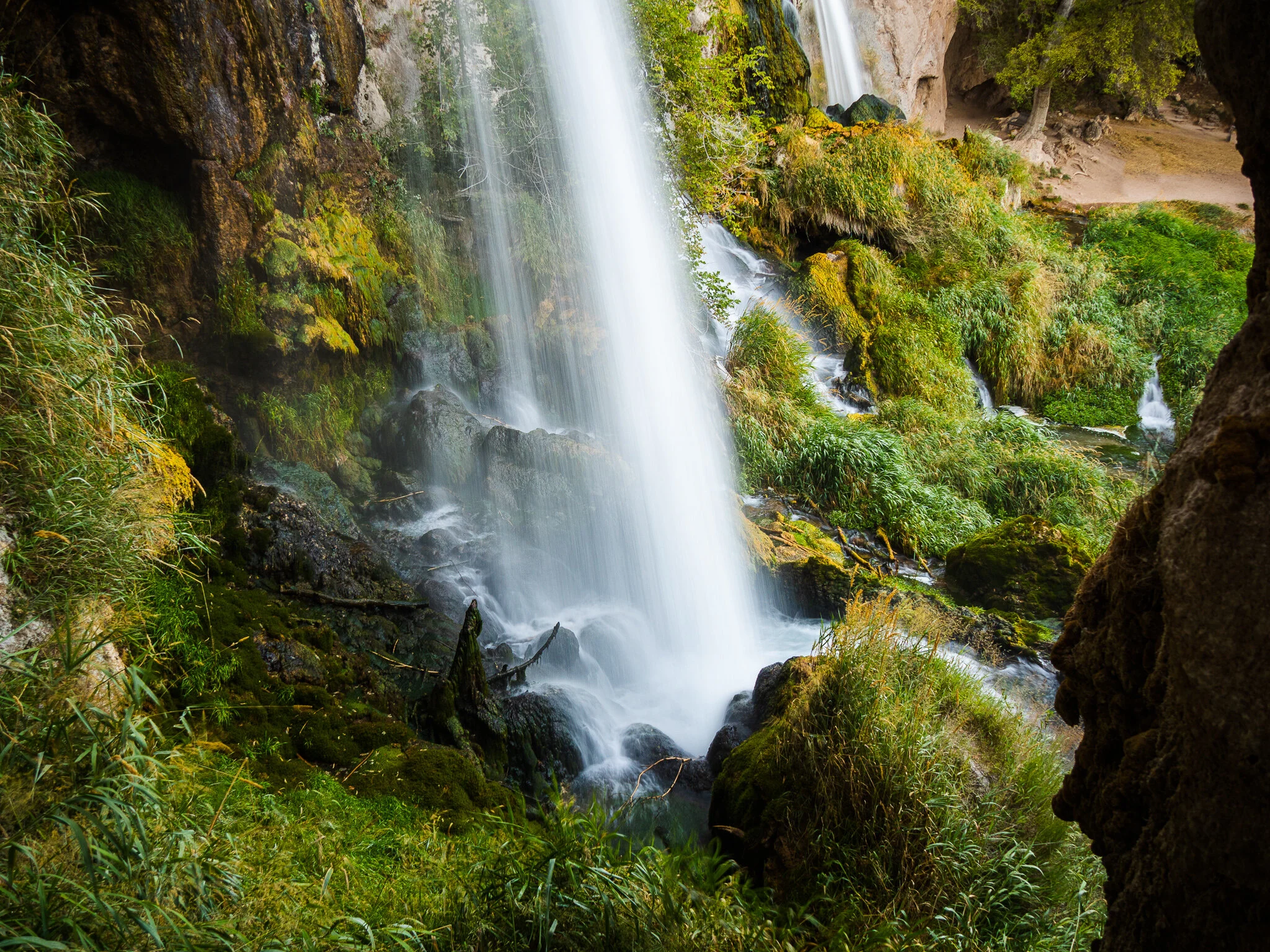 Rifle Falls