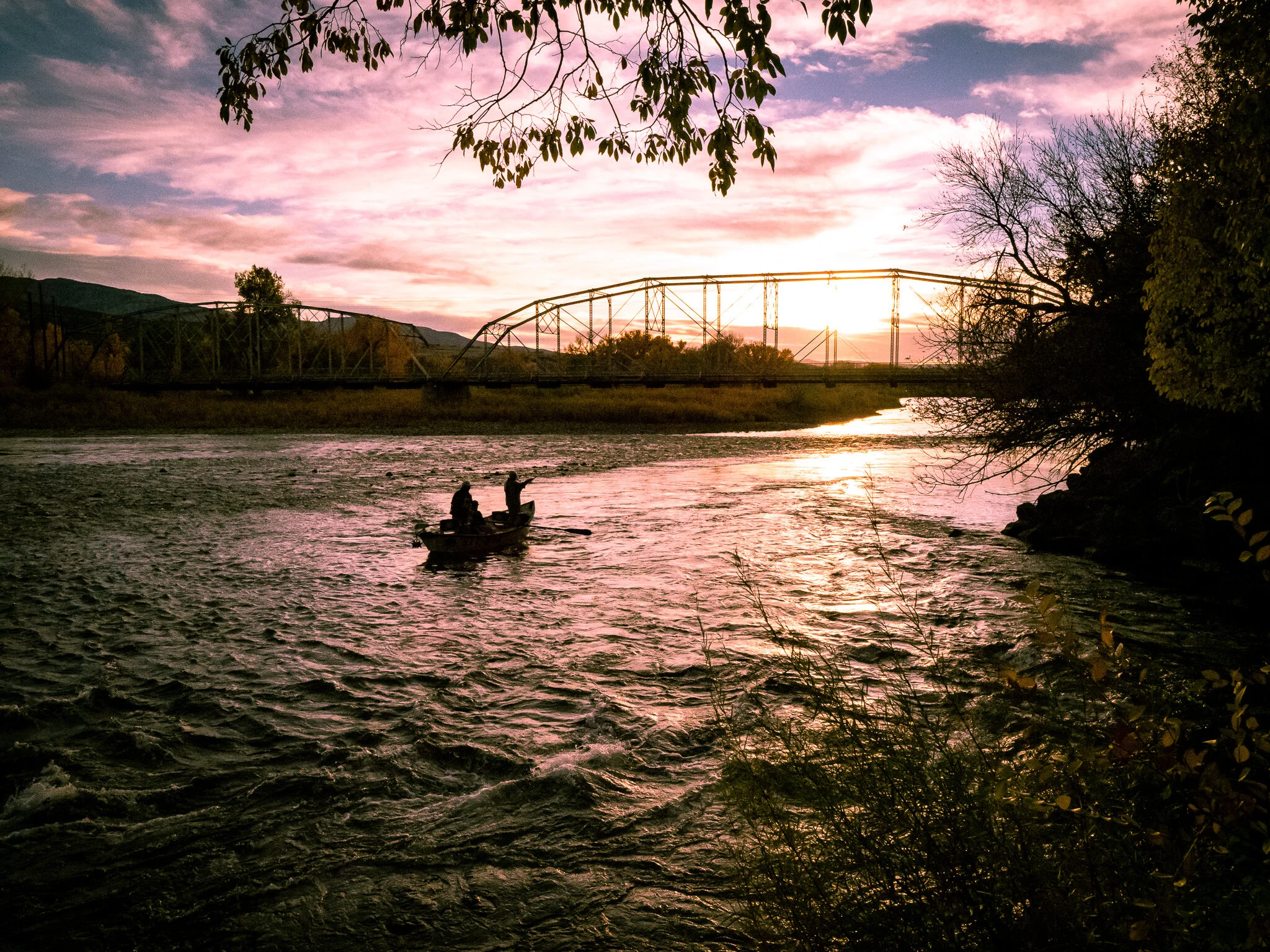 PA190382.jpg