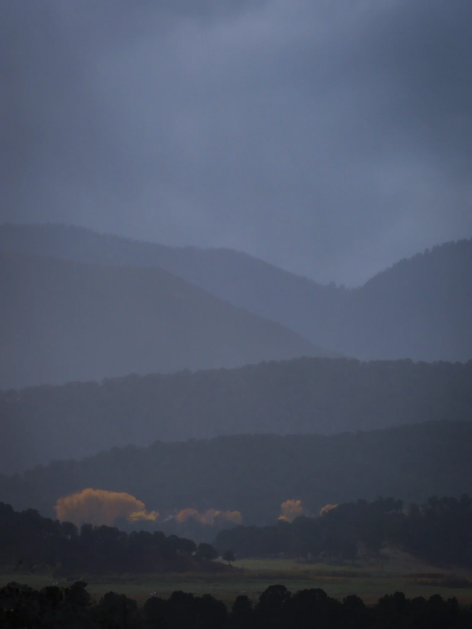 PA110213-2.jpg