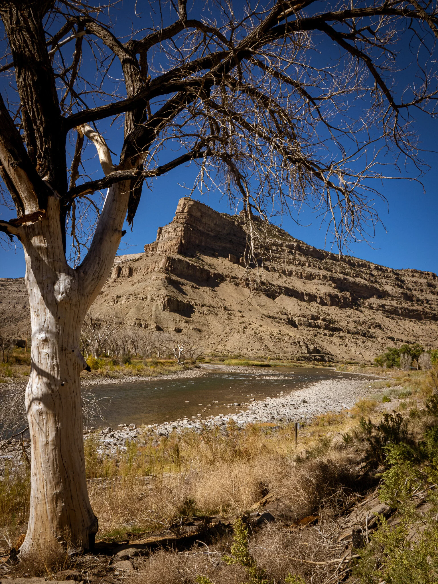 PA130271-2.jpg