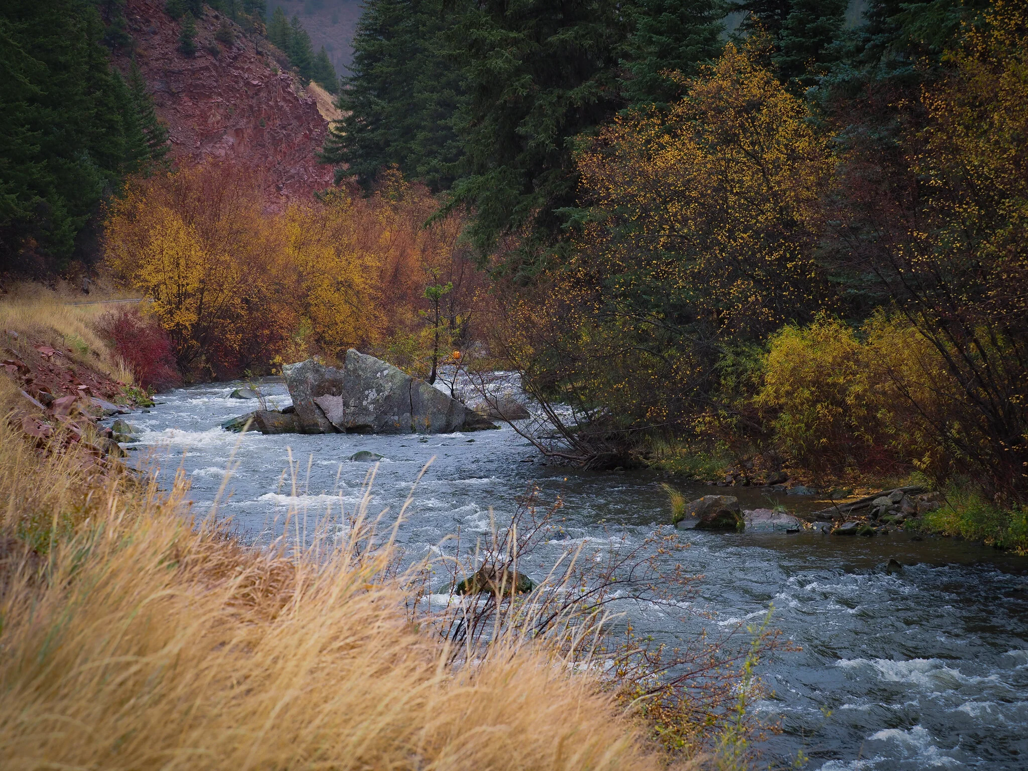 https://ngwildernessphotography.zenfolio.com/p139131243