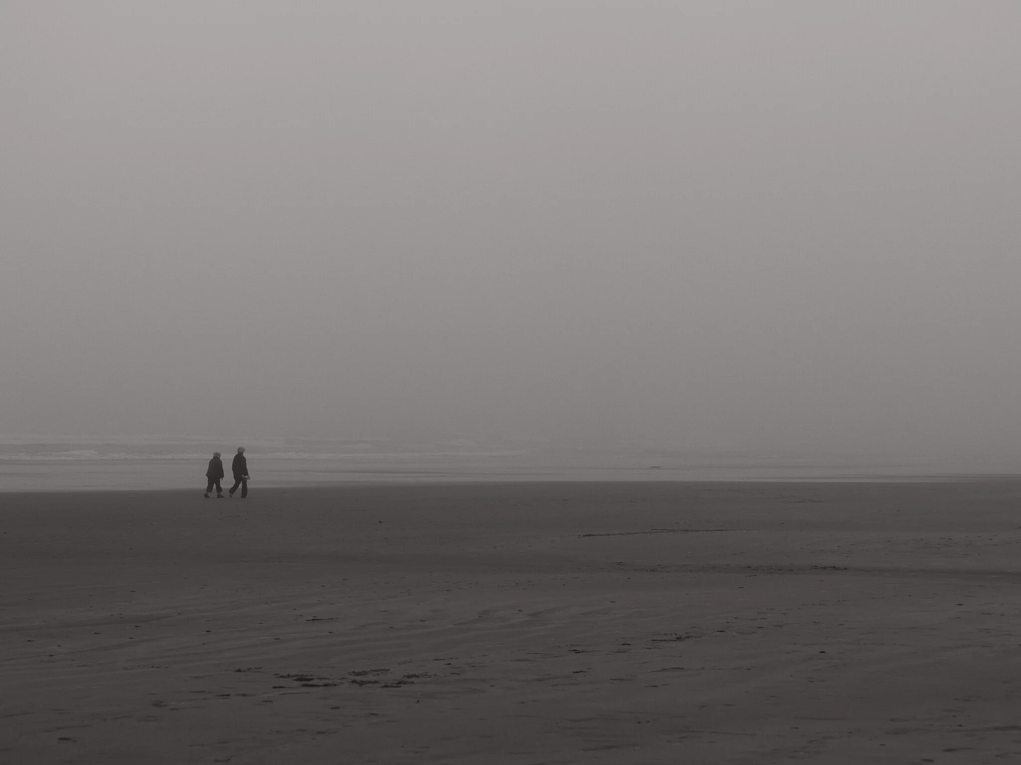 P8155017.jpg