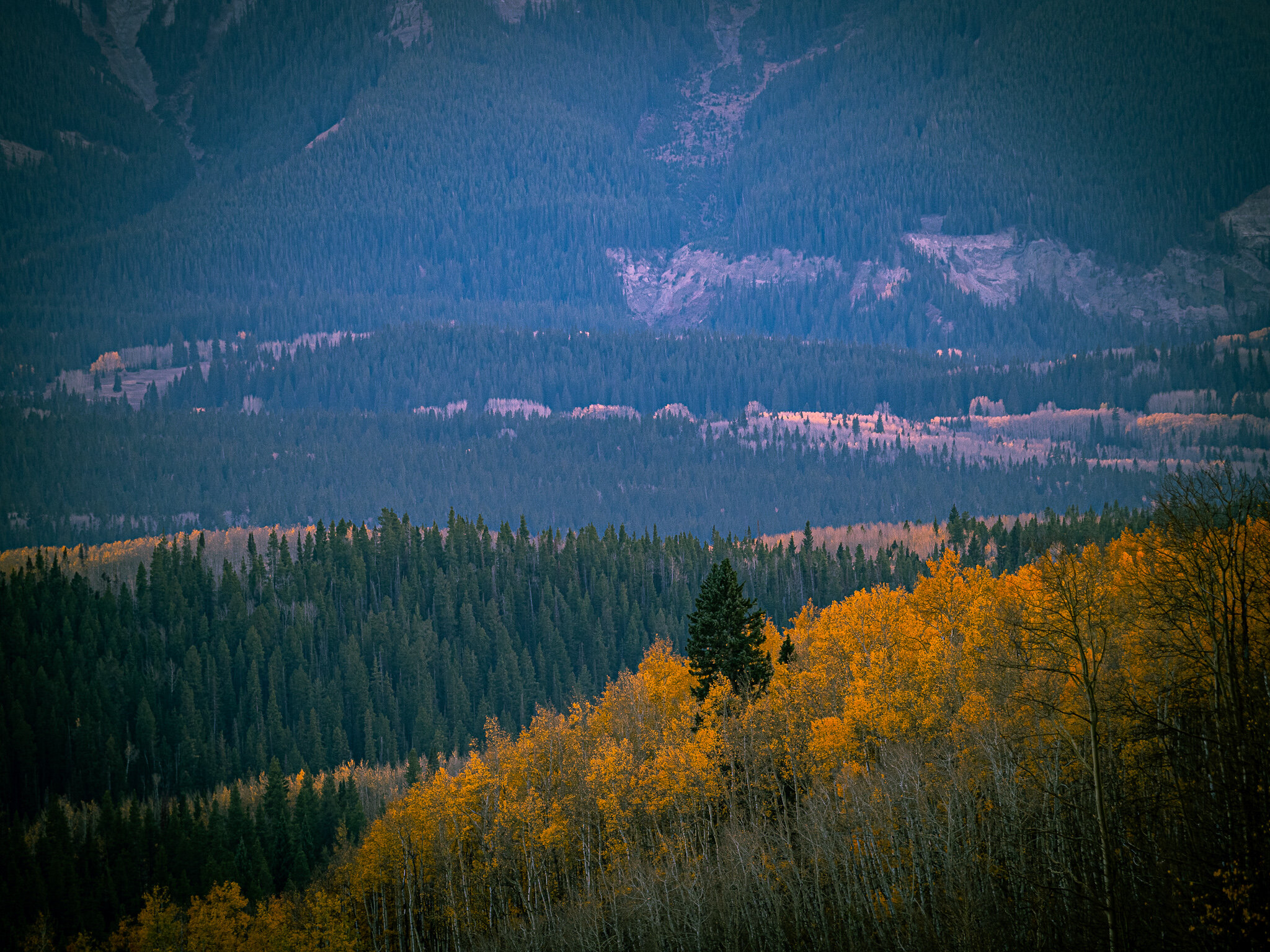 PA083992-2.jpg
