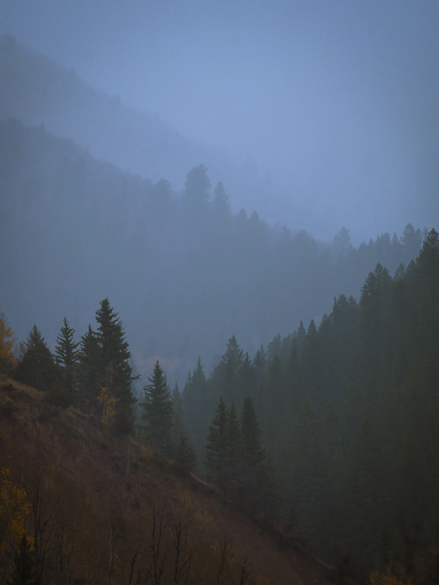 PA110195-2.jpg