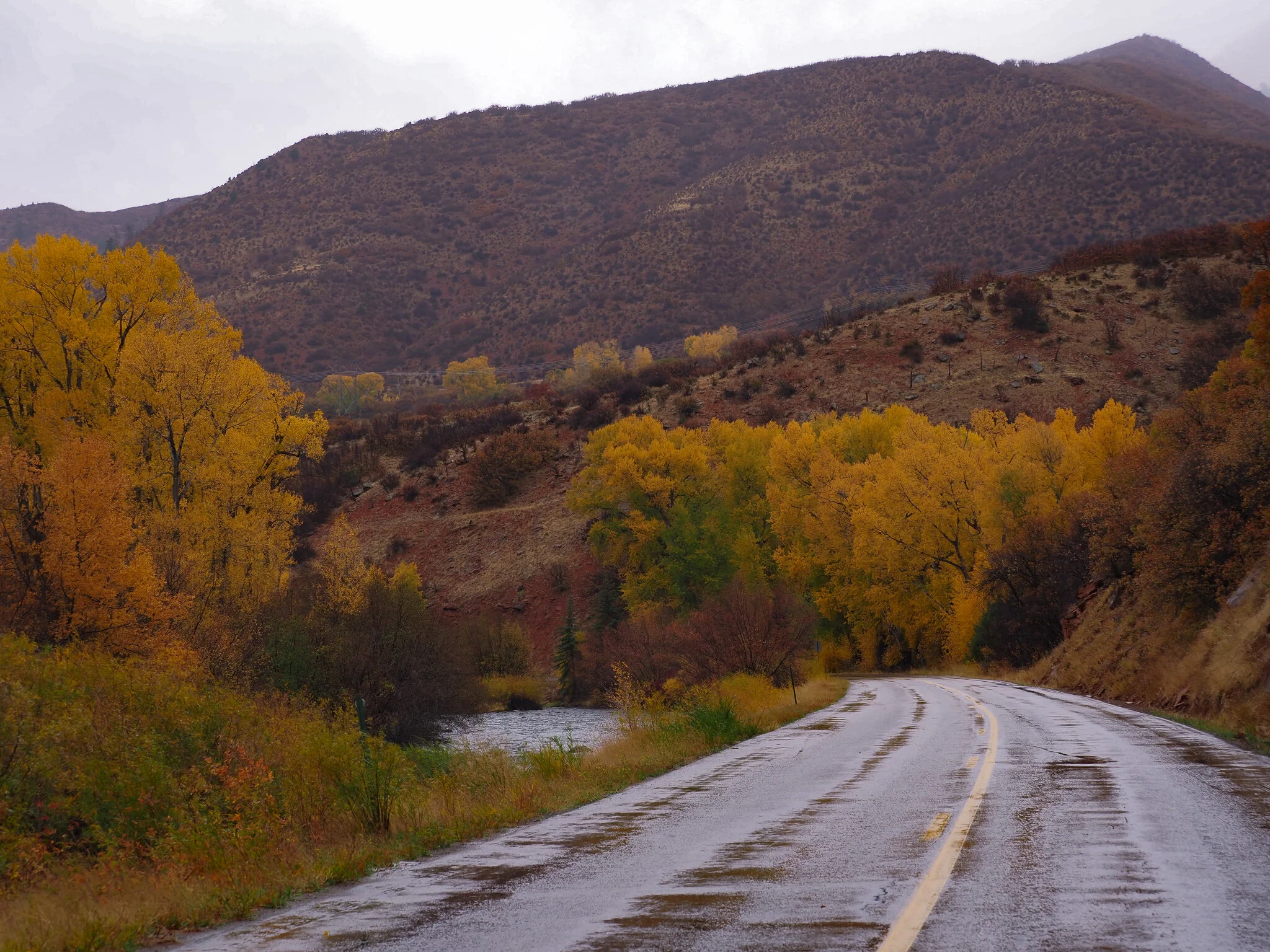 PA110202.jpg